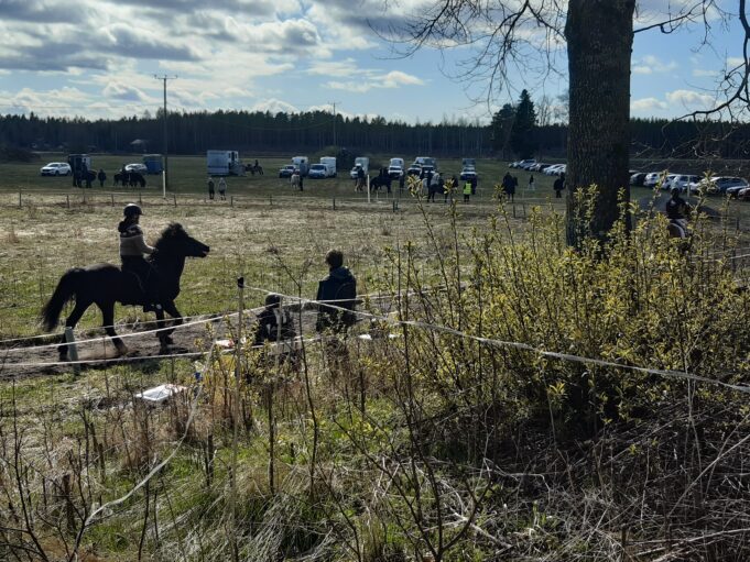 ryttare rider på hästsportområde.